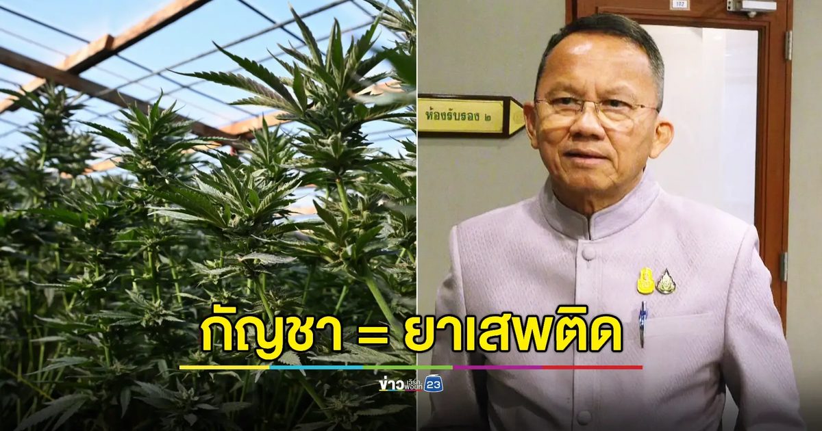 "สมศักดิ์" ย้ำล็อคกัญชาเป็นยาเสพติดเหมือนเดิม