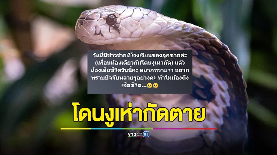 ผู้ปกครอง โพสต์ข่าวร้าย เพื่อนลูกชายโดนงูเห่ากัดเสียชีวิต อยากทราบว่าทำไมน้องถึงเสียชีวิต…