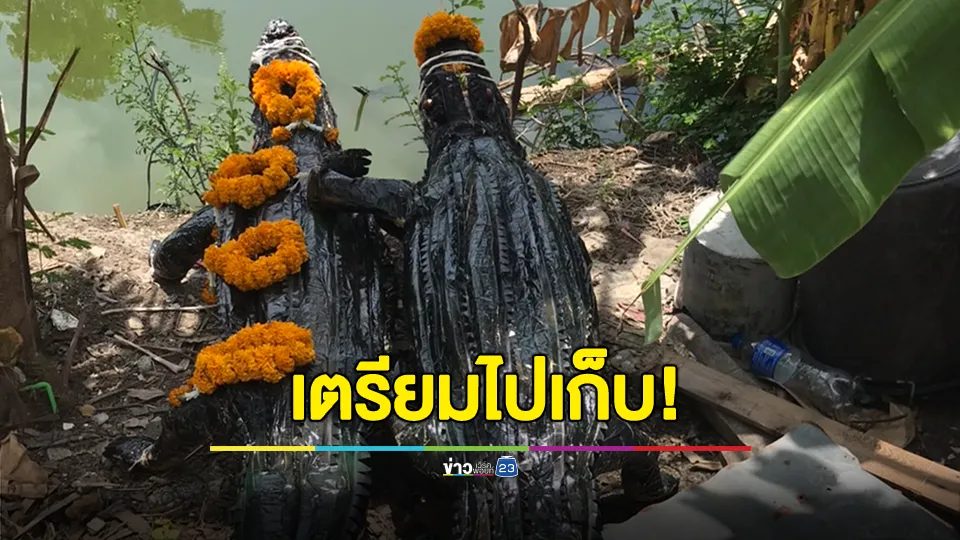 งานเข้า! "หมอปลาย" ทำพิธีปล่อยจระเข้ สะเดาะเคราะห์ ชาวเน็ตบอกรบกวนมาเก็บด้วย