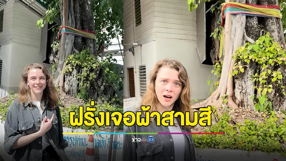 แห่เอ็นดู! ฝรั่งเจอผ้าสามสี คิดว่าเป็นต้นไม้ pride month เมื่อรู้ความจริงทำเอาถึงกับอึ้ง