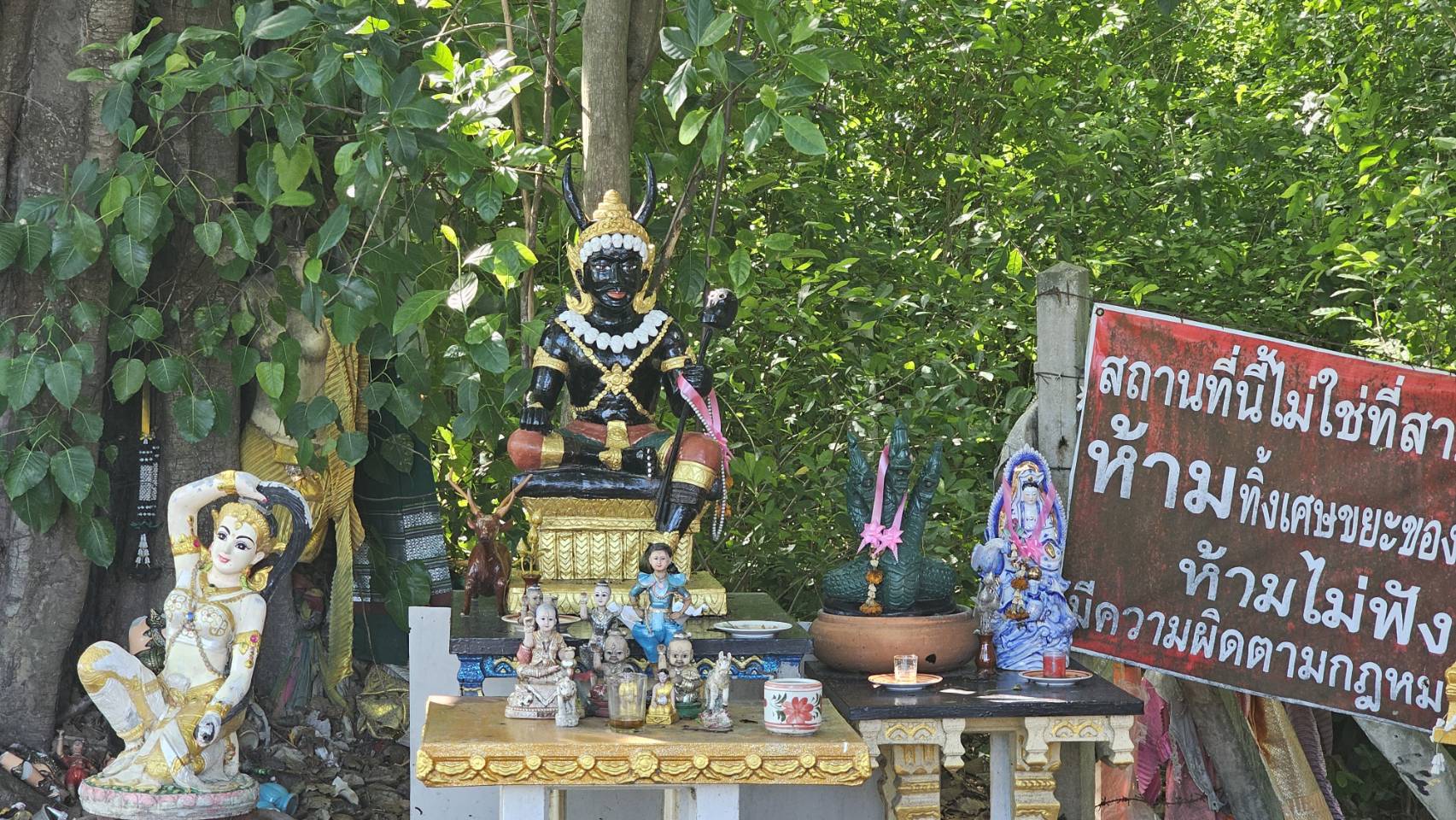ท้าวยมราชข้อมือหัก ชาวบ้านดูแลอย่างดีให้โชค 3 งวดติด