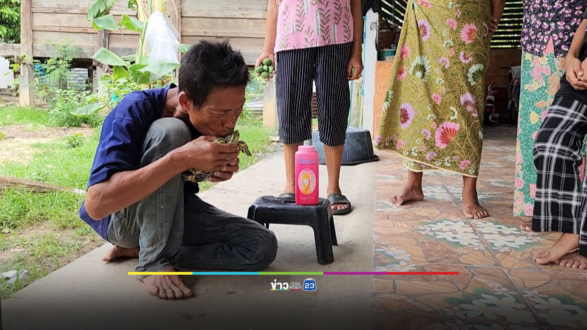 ฮือฮาเต่าประหลาด กระดองยุบ-มีคิ้ว ชาวบ้านแห่ขอหวย