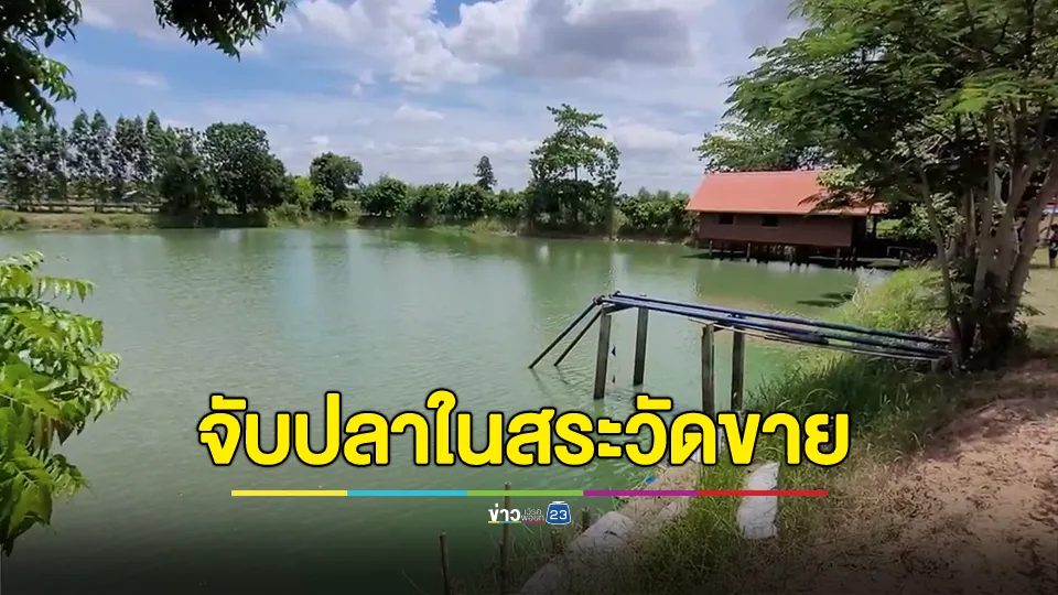 ร้อง! ผู้ใหญ่บ้านแอบขายปลาสะเดาะเคราะห์ในสระวัด ไม่แจ้งใคร อ้างปลามีเยอะ ทำน้ำขุ่น ใช้ผลิตประปาไม่ได้