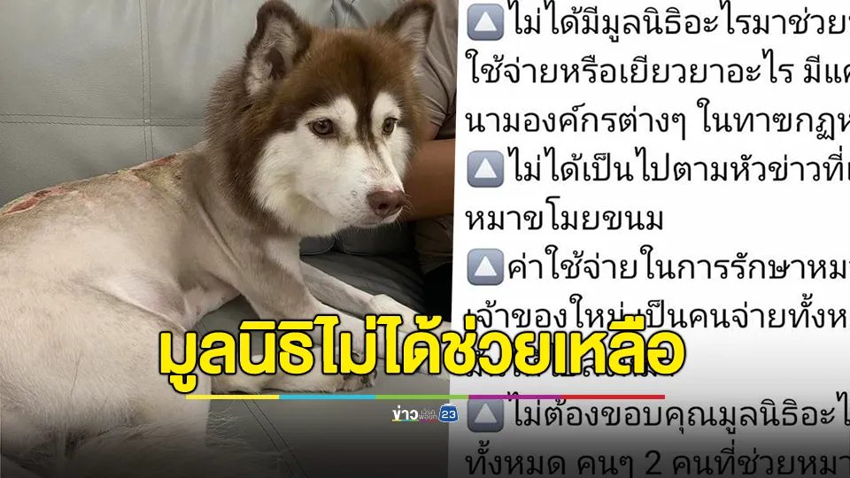 "บิว" เจ้าของเดิม "หมวยเล็ก" สุนัขไซบีเรียน ยังไม่จบ! บอกมูลนิธิไม่ได้ช่วยเหลือค่าใช้จ่ายหรือค่าเยียวยา ค่ารักษาทั้งหมด เจ้าของคนใหม่รับผิดชอบ