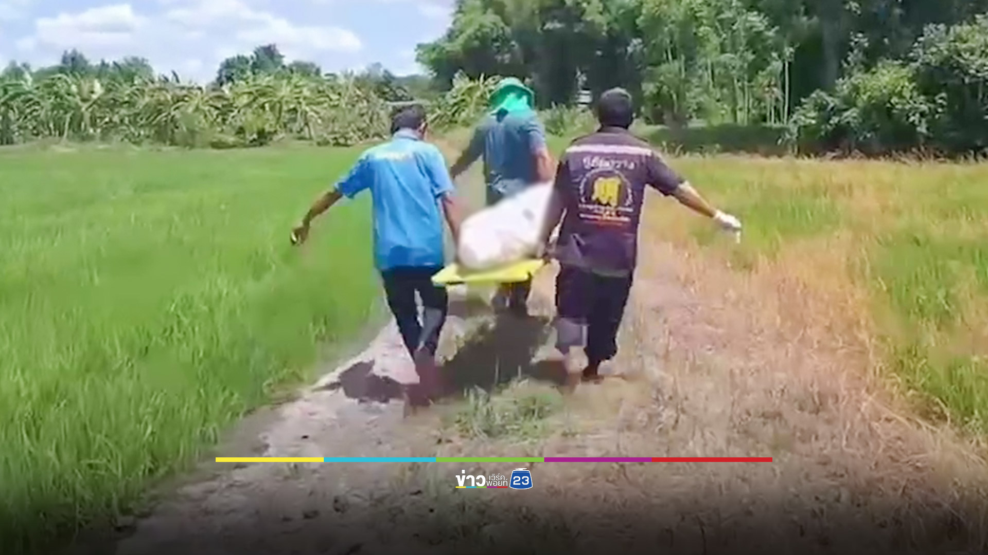 ลุงรับจ้างพ่นยาฆ่าหญ้า เสียชีวิตปริศนากลางนาข้าว