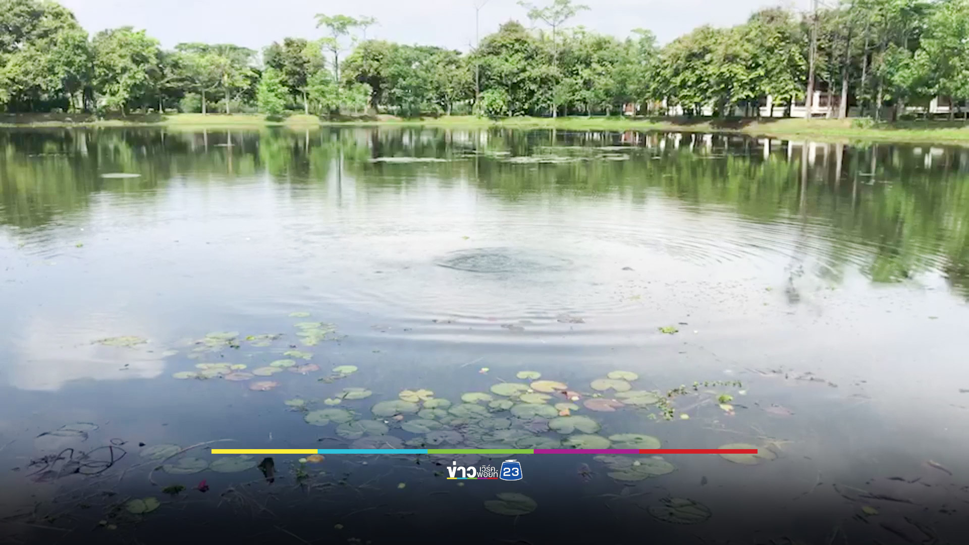 สลด! ลงหาสายบัวหวังนำไปขาย สุดท้ายจมน้ำดับ