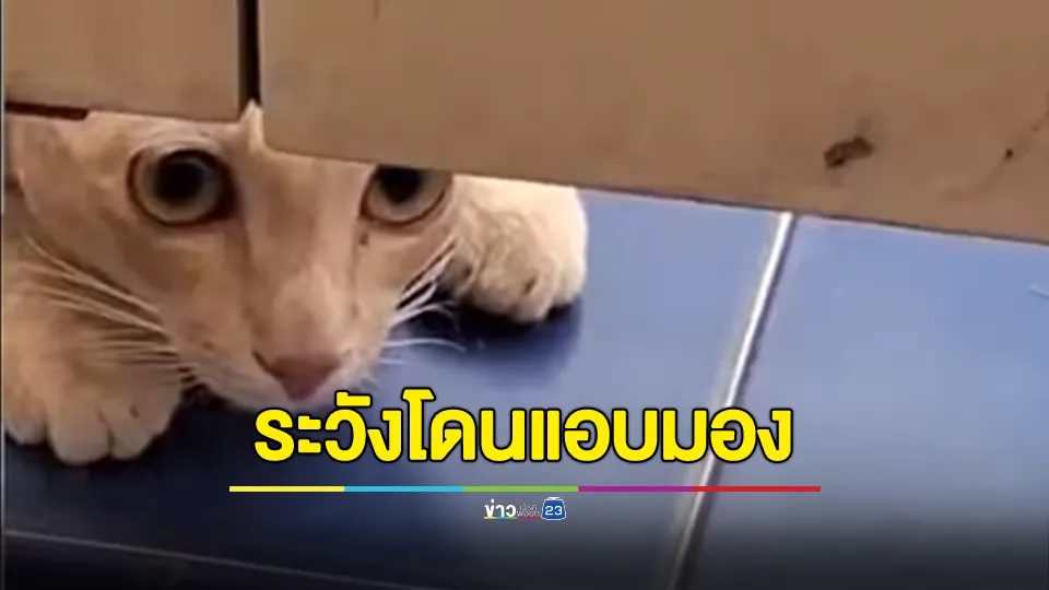 สาวเตือนภัย! เข้าห้องน้ำสาธารณะ ระวังโดนแอบมอง