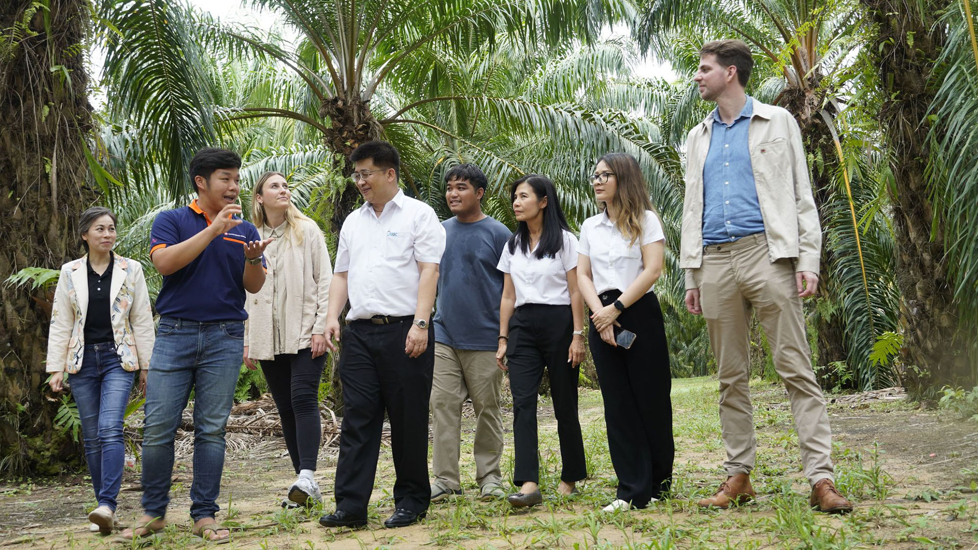 4 จังหวัดนำร่องระกาศความสำเร็จการผลิตน้ำมันปาล์มยั่งยืน