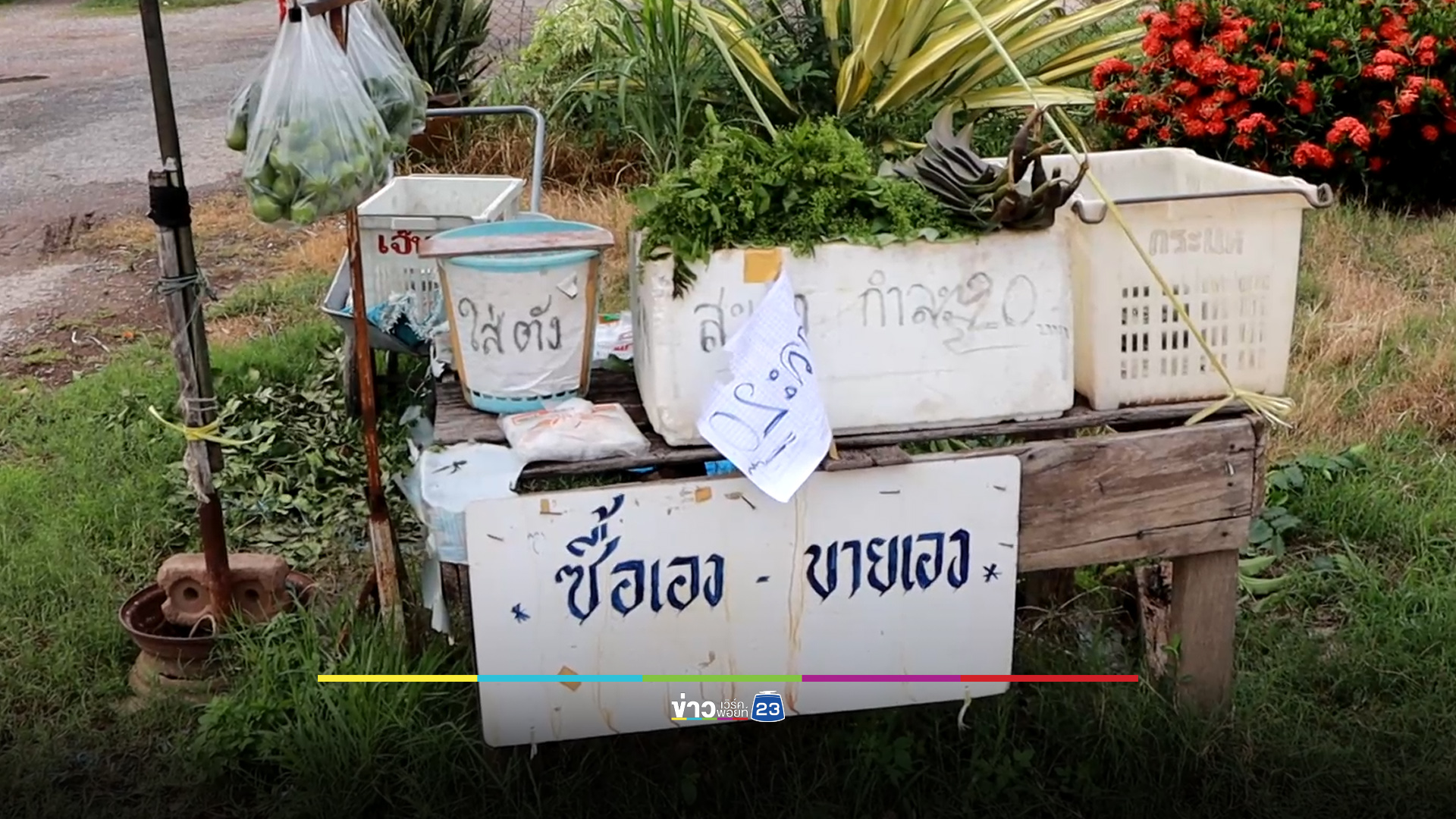 เชื่อใจถึงทำได้ อดีต ผญบ.ตั้งร้านขายผักแบบหยิบจ่ายเอง