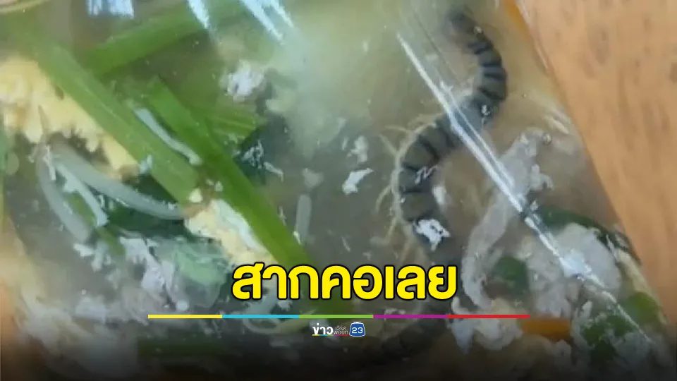 สากคอเลย! อวสานต้มจืด โซเชียลแซวพ่อครัวแม่ครัวได้คายตะขาบให้คุณแล้ว