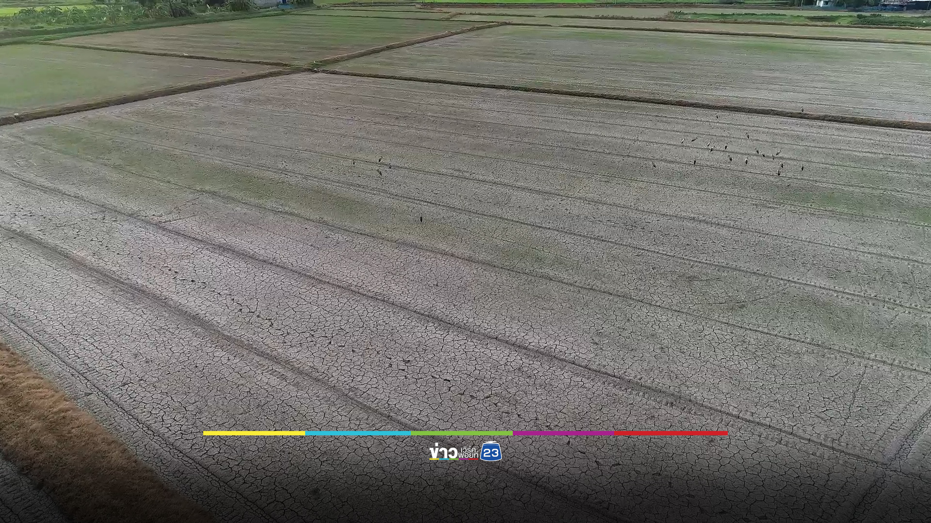 ชาวนาสุพรรณฯ ระทมเจอฝนขาดช่วง วอนชลประทานช่วย