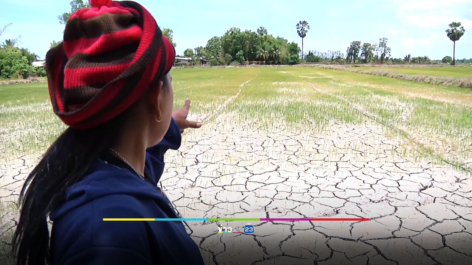 ชาวนาสุพรรณฯ ระทมเจอฝนขาดช่วง วอนชลประทานช่วย