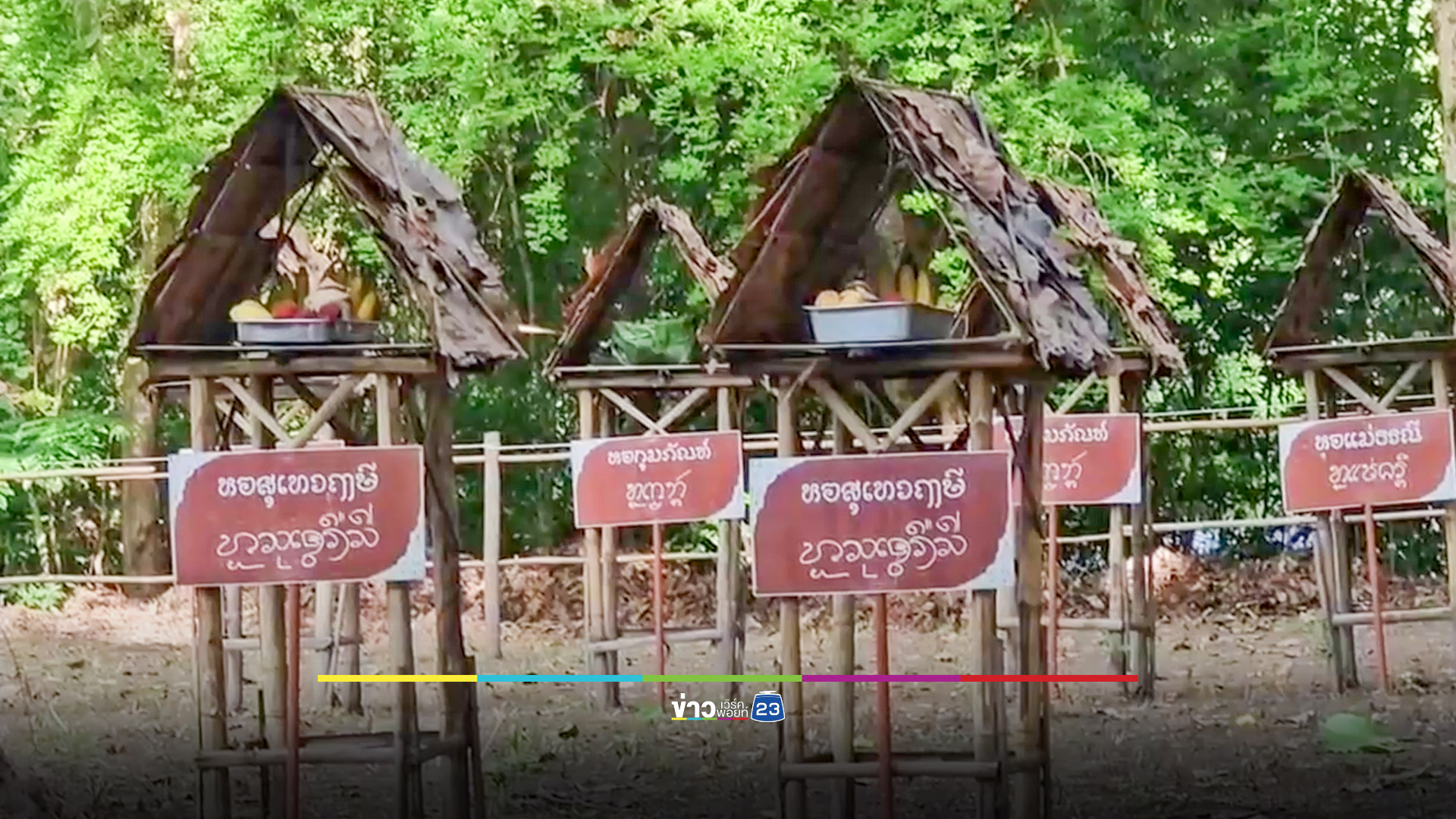 ร่างทรงยักษ์กินควายดิบ ประเพณีเลี้ยงดง-บวงสรวงปู่แสะย่าแสะดอยสุเทพ