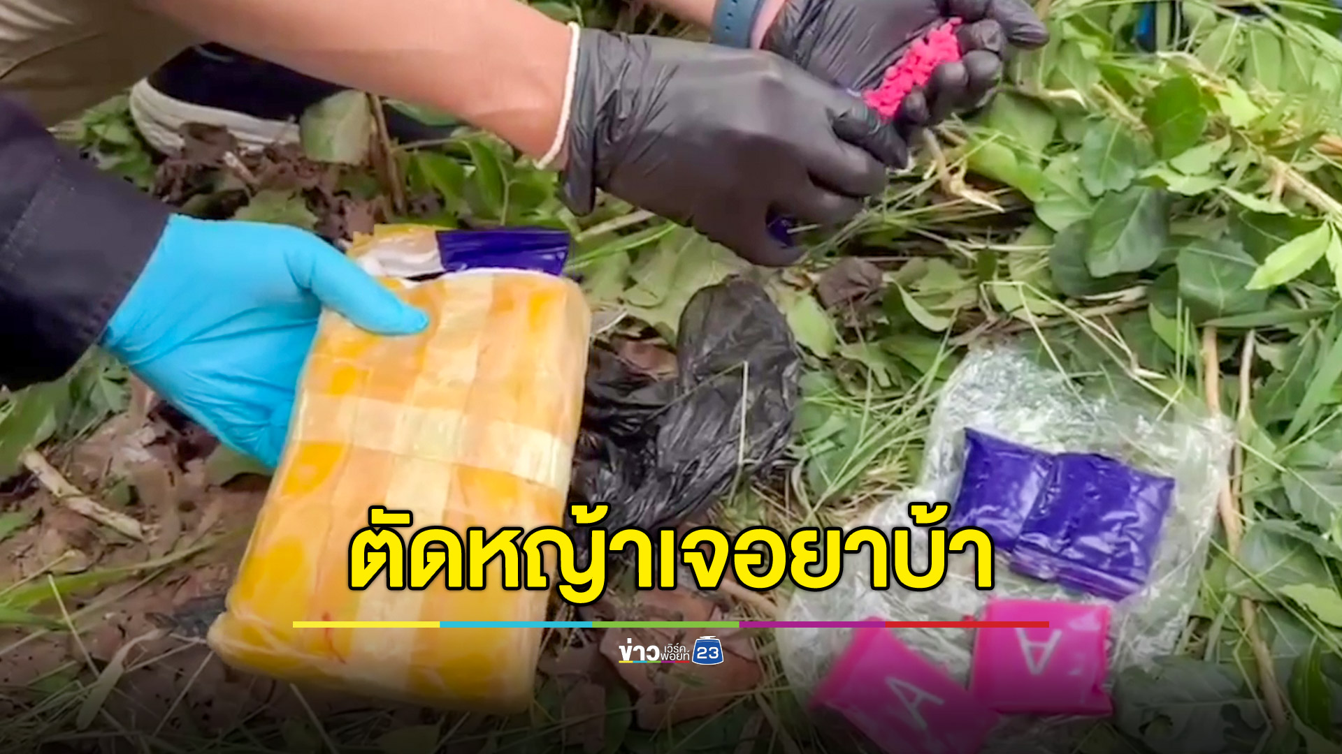 ชาวบ้านมาตัดหญ้าให้วัว เจอยาบ้าเกือบ 6 พันเม็ด