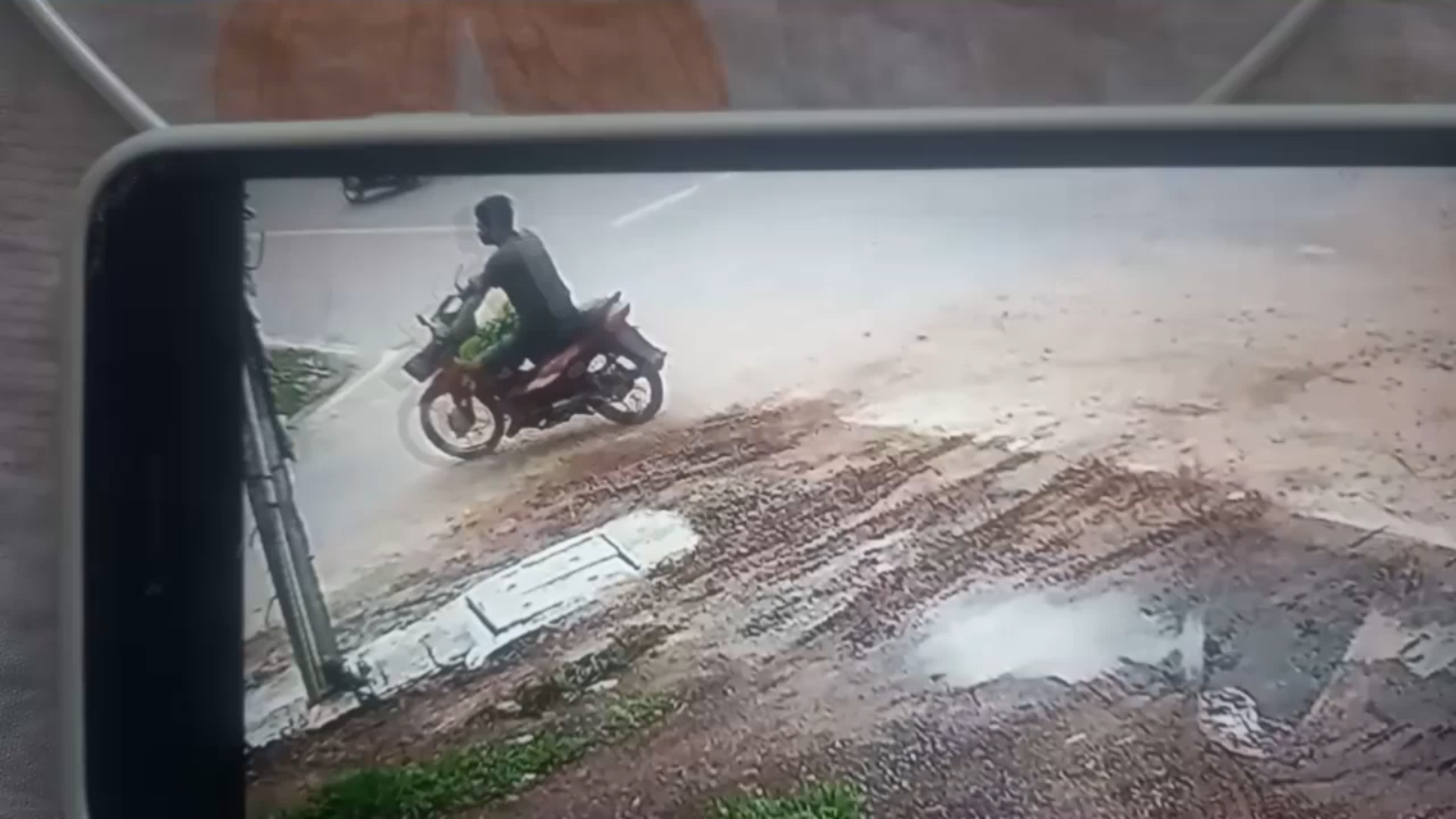 อดีตโค้ชยิงปืนฯ ถูกลักตัด"กล้วยน้ำว้ามะลิอ่อง"มูลค่า 20 ล.