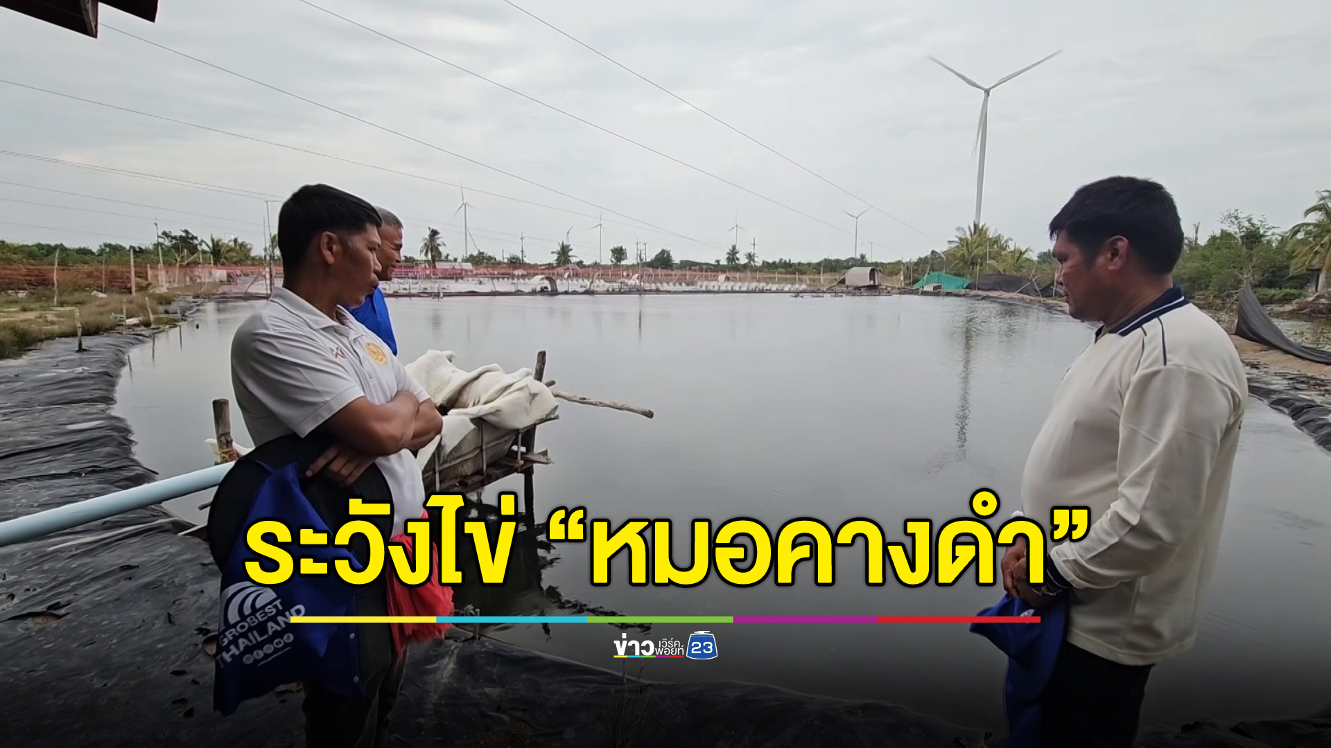 เตือนนากุ้งระวังไข่ปลาหมอคางดำ - ใช้กะพงช่วยยังไม่เห็นผล