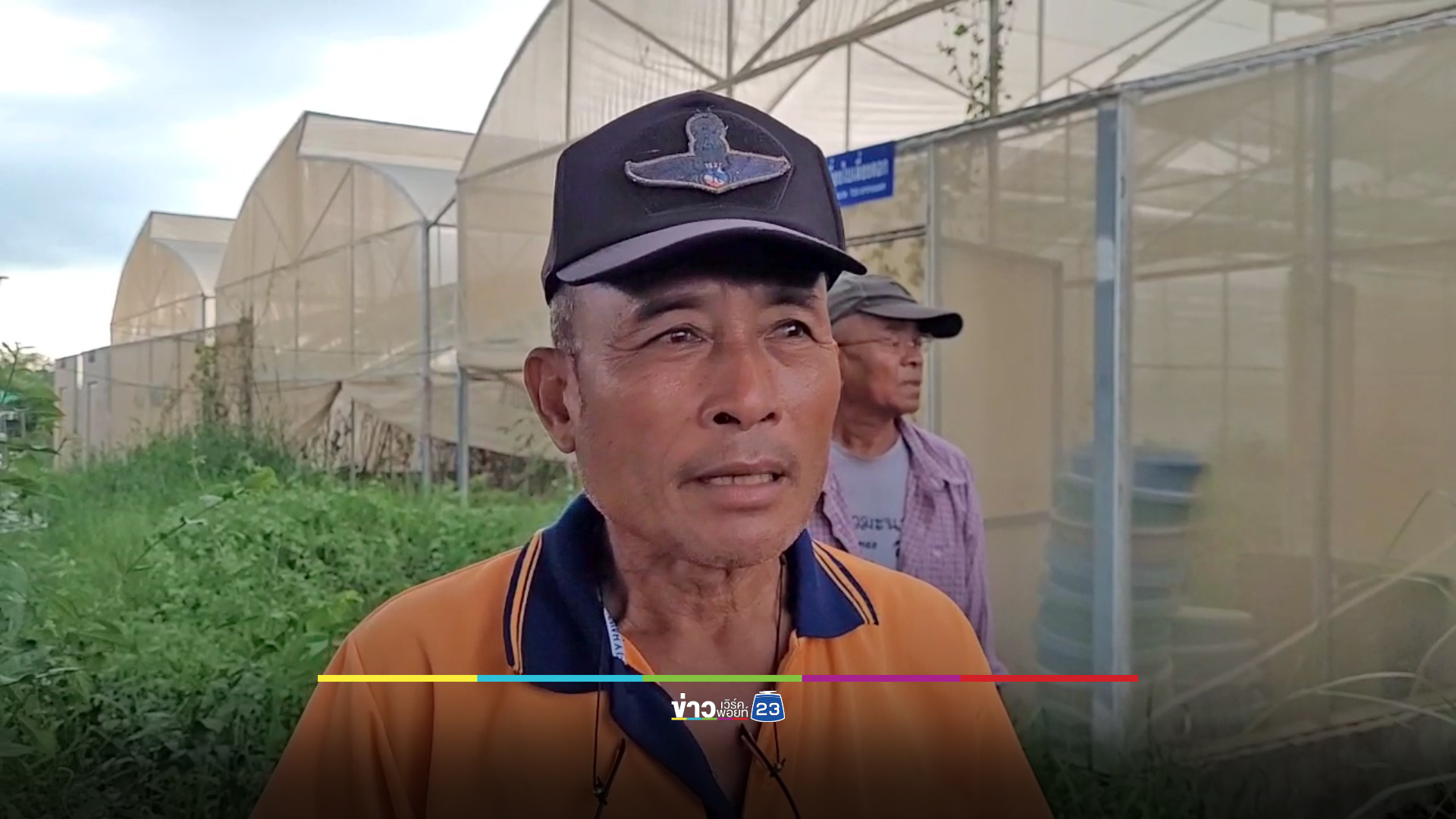 ฟาร์มกัญชาโอดเจ๊งยับ จี้รัฐเยียวยา