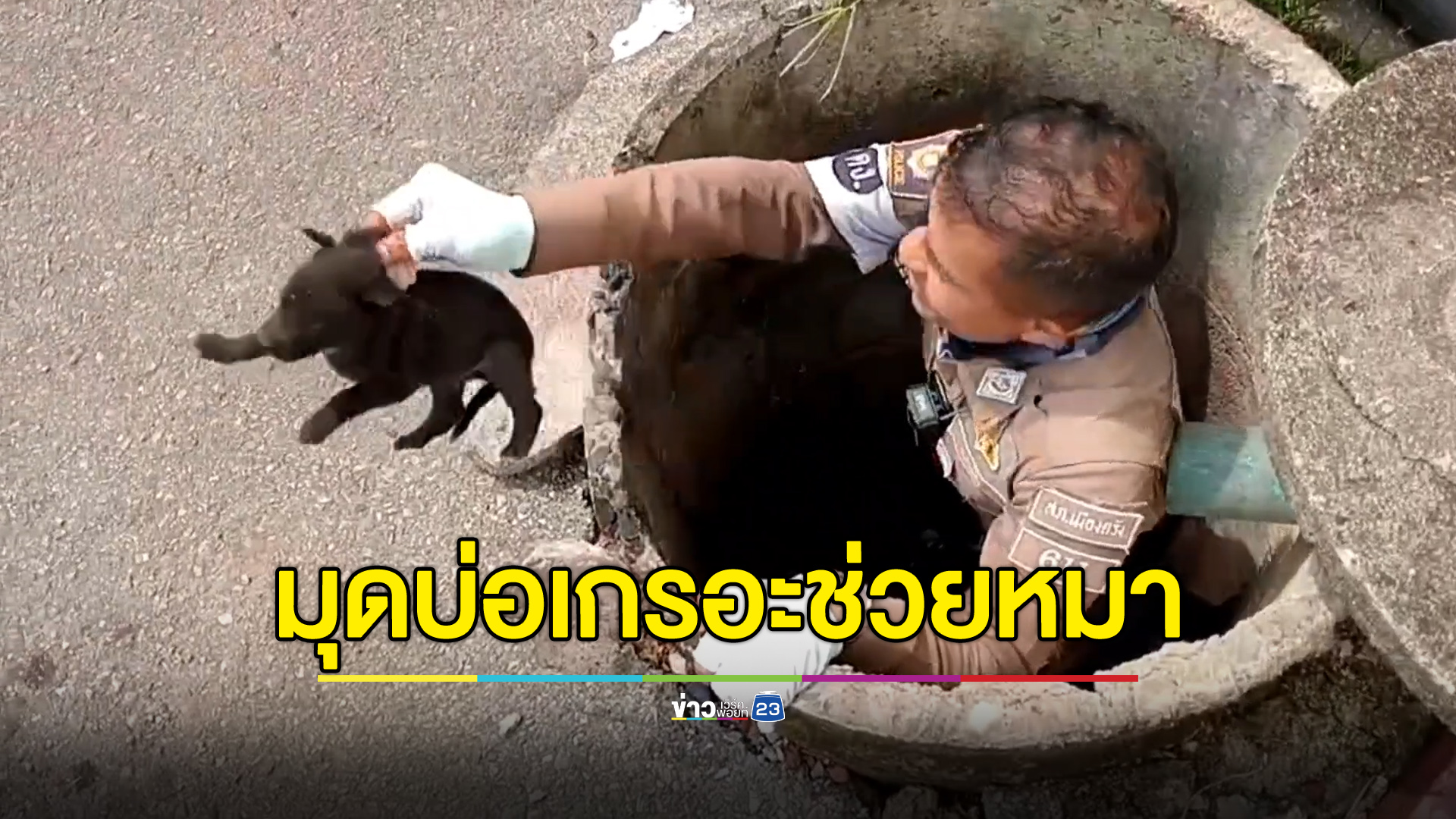 ตำรวจไทยน้ำใจงาม ยอมมุดบ่อเกรอะช่วยลูกหมา