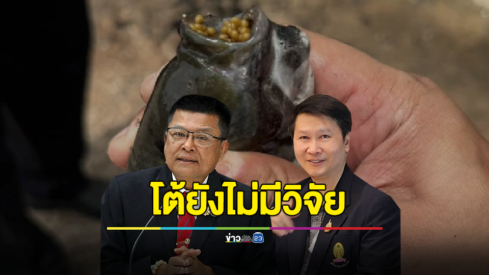 กรมประมง โต้ยังไม่มีวิจัย "ไข่ปลาหมอคางดำ" อึดทนตากแดด 2 เดือนแล้วยังฟักเป็นตัวได้