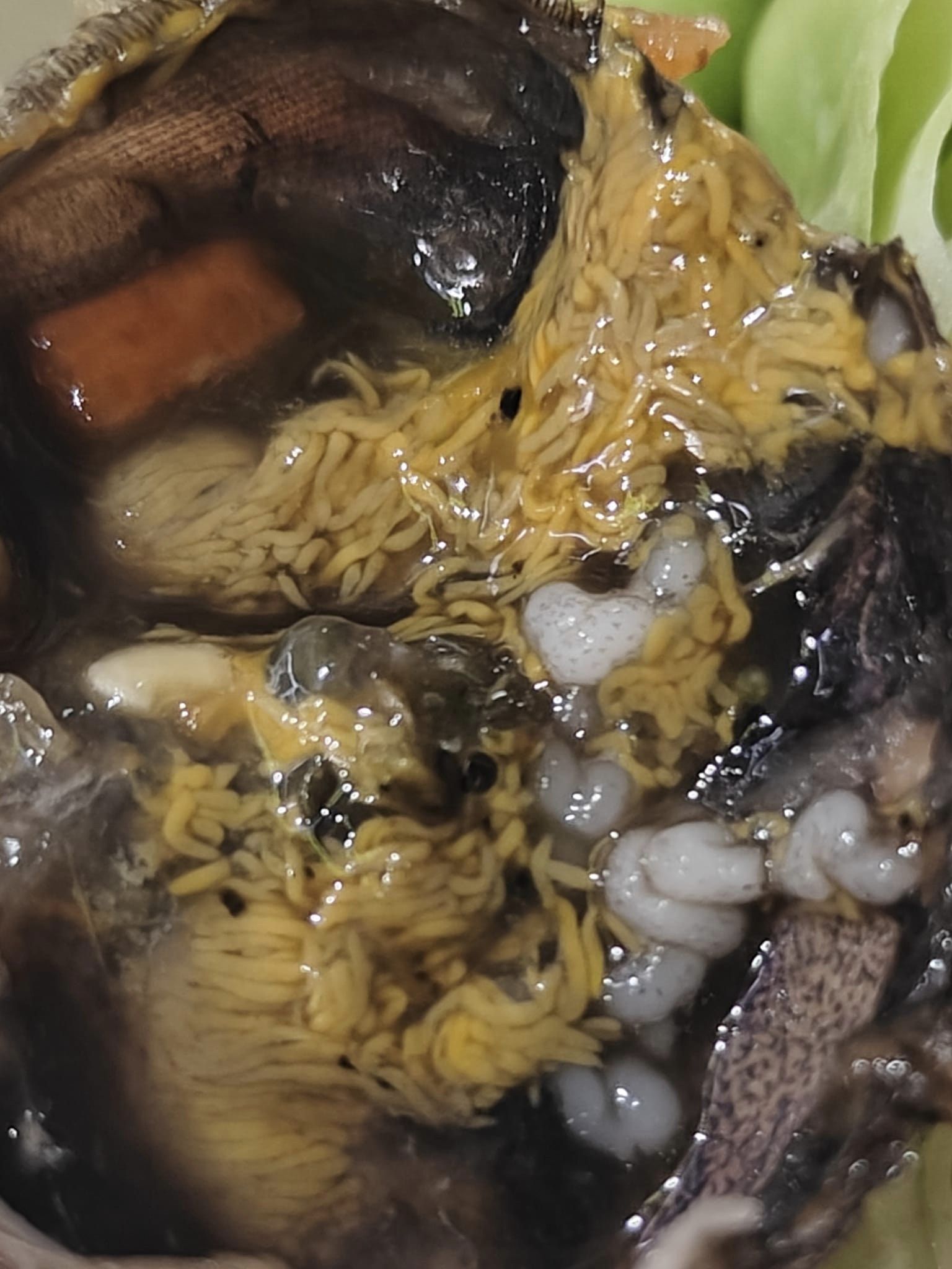 หนุ่มสงสัยคืออะไร เจอในปูที่ใส่ในส้มตำ โซเชียลบอกคือสิ่งนี้ แซ่บหลาย