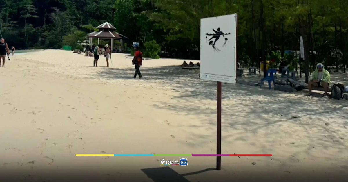 ระวัง 'แมงกะพรุนหัวขวด' ล่าสุดพบนทท.ถูกพิษเพิ่มหลายราย
