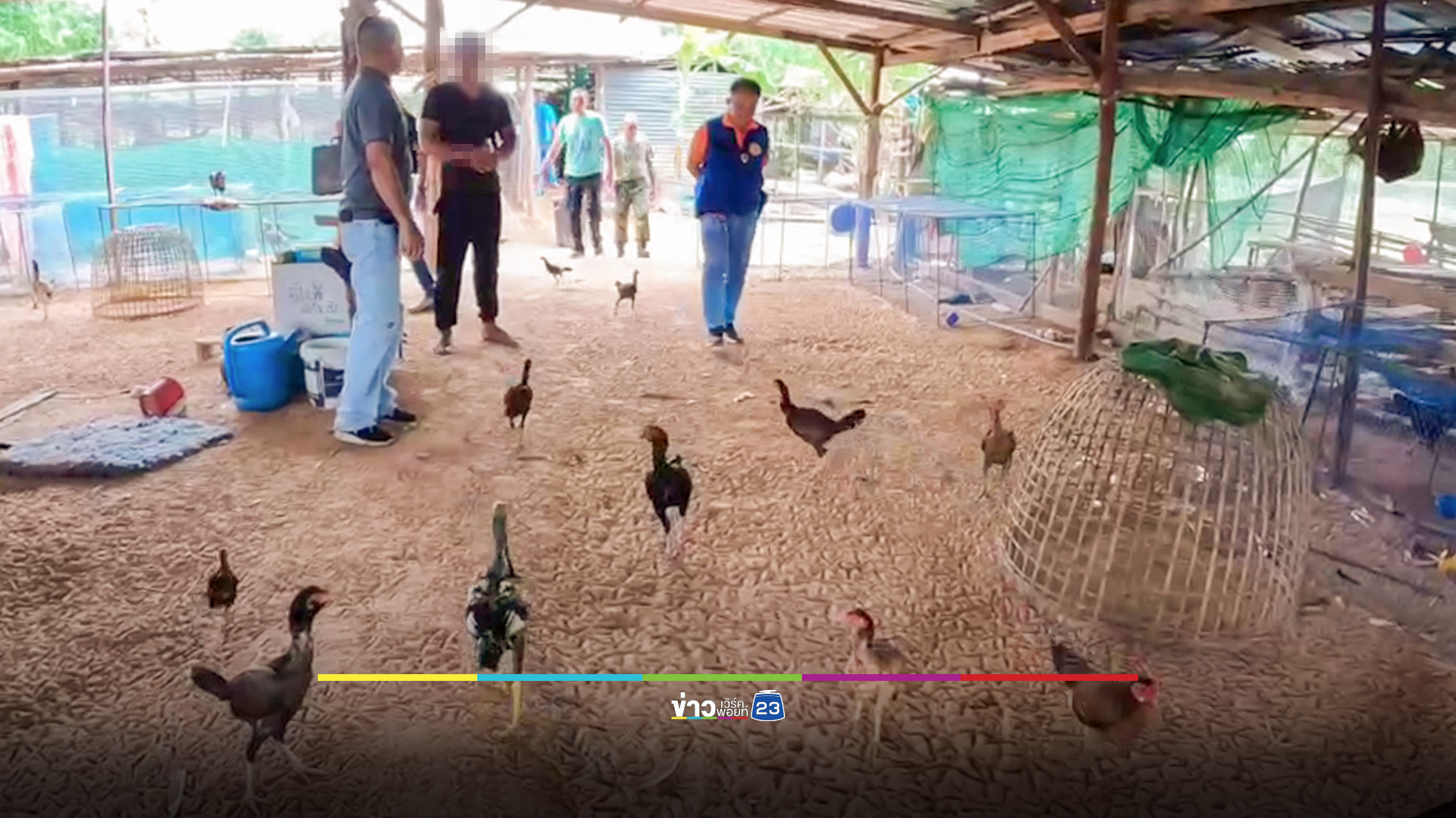 บุกจับเซียนไก่ชน ขายยาบ้าใช้หนี้