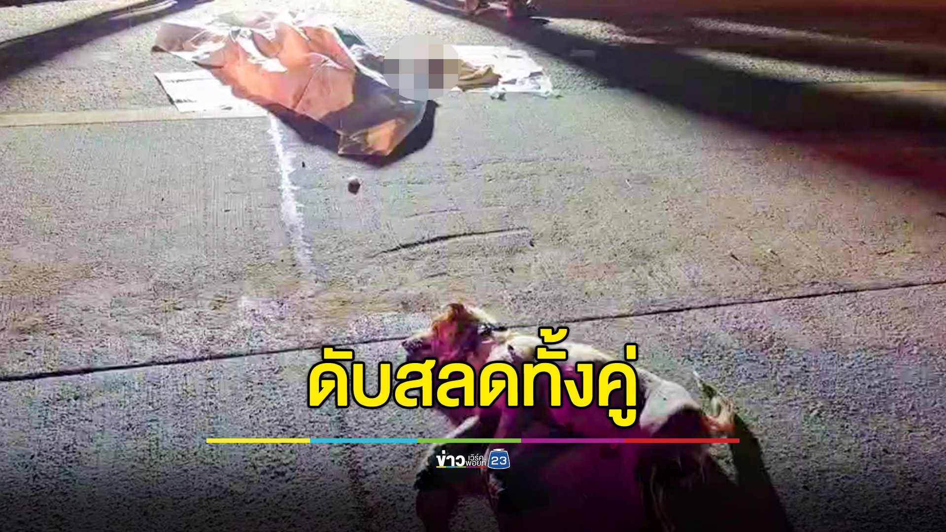 ชายวัย 40 ปีขี่ จยย.ชนสุนัข ดับสลดทั้งคู่