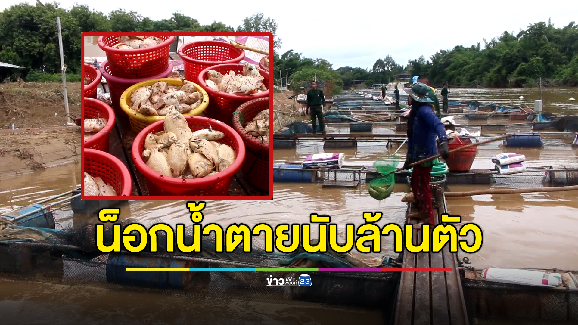 "น้ำท่วมกาญฯ"ปลาน็อกน้ำตายนับล้านตัว เจ้าของกระชังสูญ 30 ล.