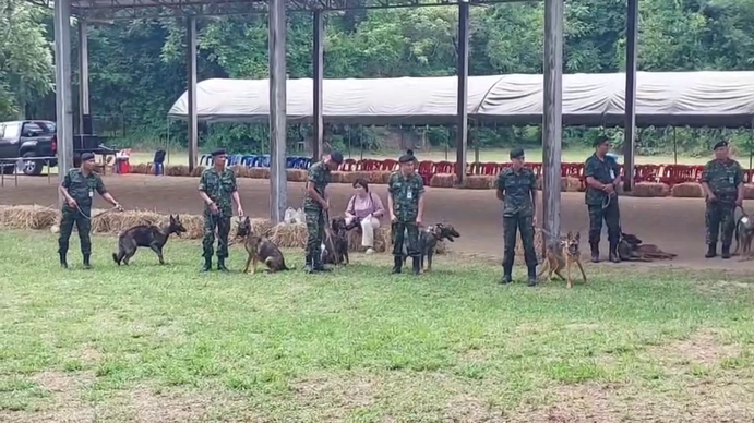 น้อง “ฮิลม่า” ดาวเด่นประมูลสุนัขทหาร-สนนค่าตัวหลักแสน