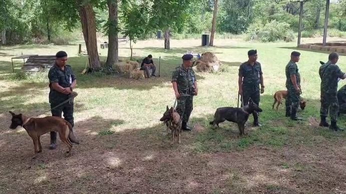 น้อง “ฮิลม่า” ดาวเด่นประมูลสุนัขทหาร-สนนค่าตัวหลักแสน
