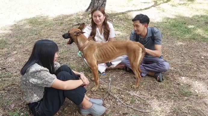 น้อง “ฮิลม่า” ดาวเด่นประมูลสุนัขทหาร-สนนค่าตัวหลักแสน