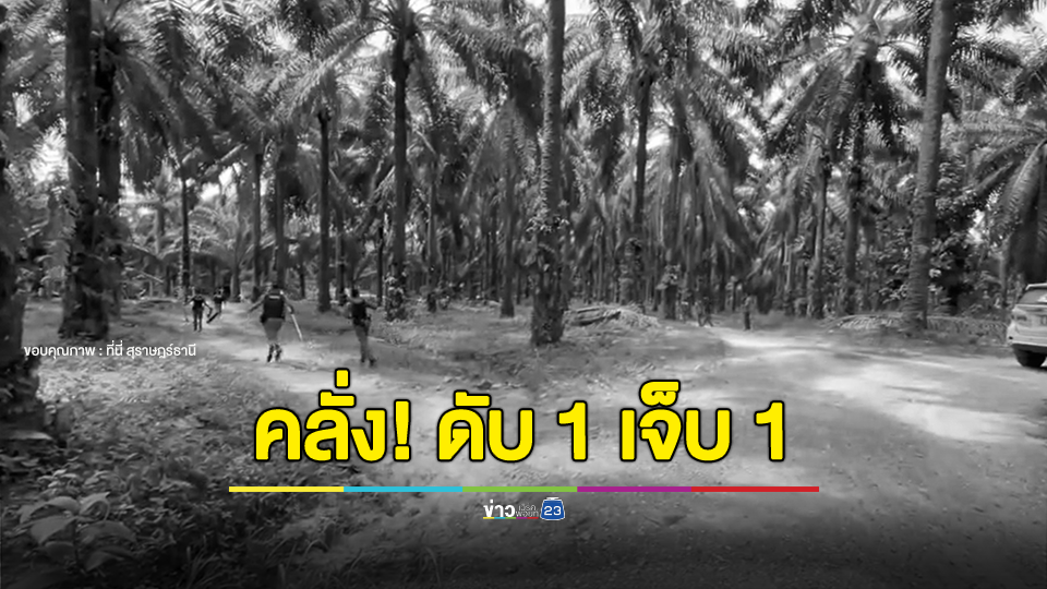 ชายคลั่งฆ่าฟันคอหลานสะใภ้ดับคาที่ เด็ก 4 ขวบเจ็บ