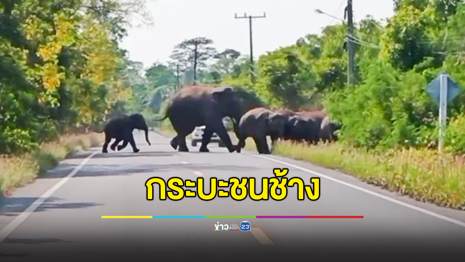 กระบะพุ่งชนช้างป่า รถพังยับ คนขับเจ็บ ส่วนช้างเดินลากขาซ้ายหนีเข้าป่า