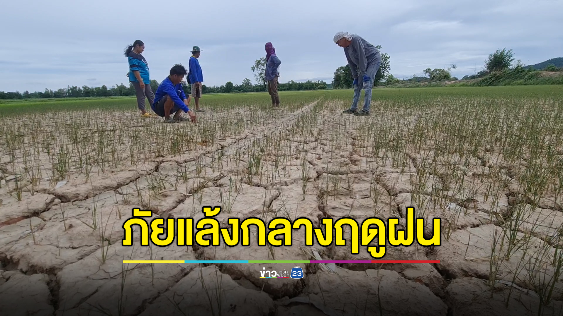 ชาวนาสุโขทัยเผชิญภัยแล้งกลางฤดูฝน บนหัวหมูเทวดาขอฝน