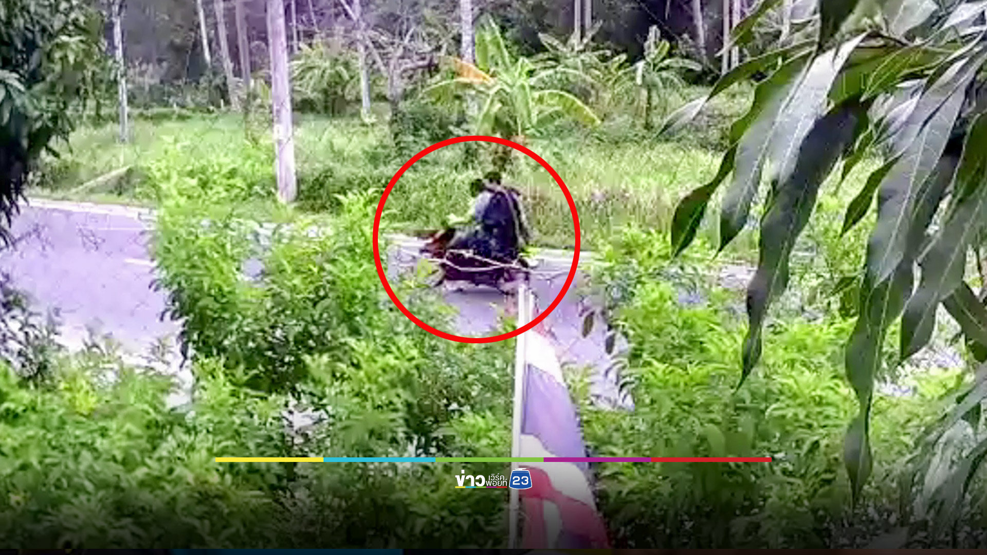 คนร้ายยิงดับก่อนเผาร่างสามีคารถ เมียโชคดีวิ่งหนีรอดมาได้