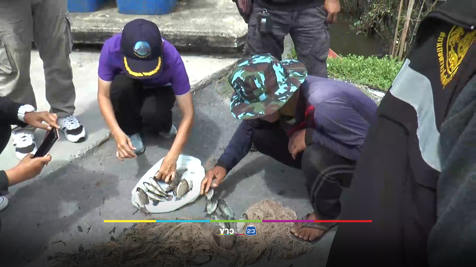 ปลาหมอคางดำระบาดล้นคลอง สยองไข่เต็มตัว-เต็มปาก