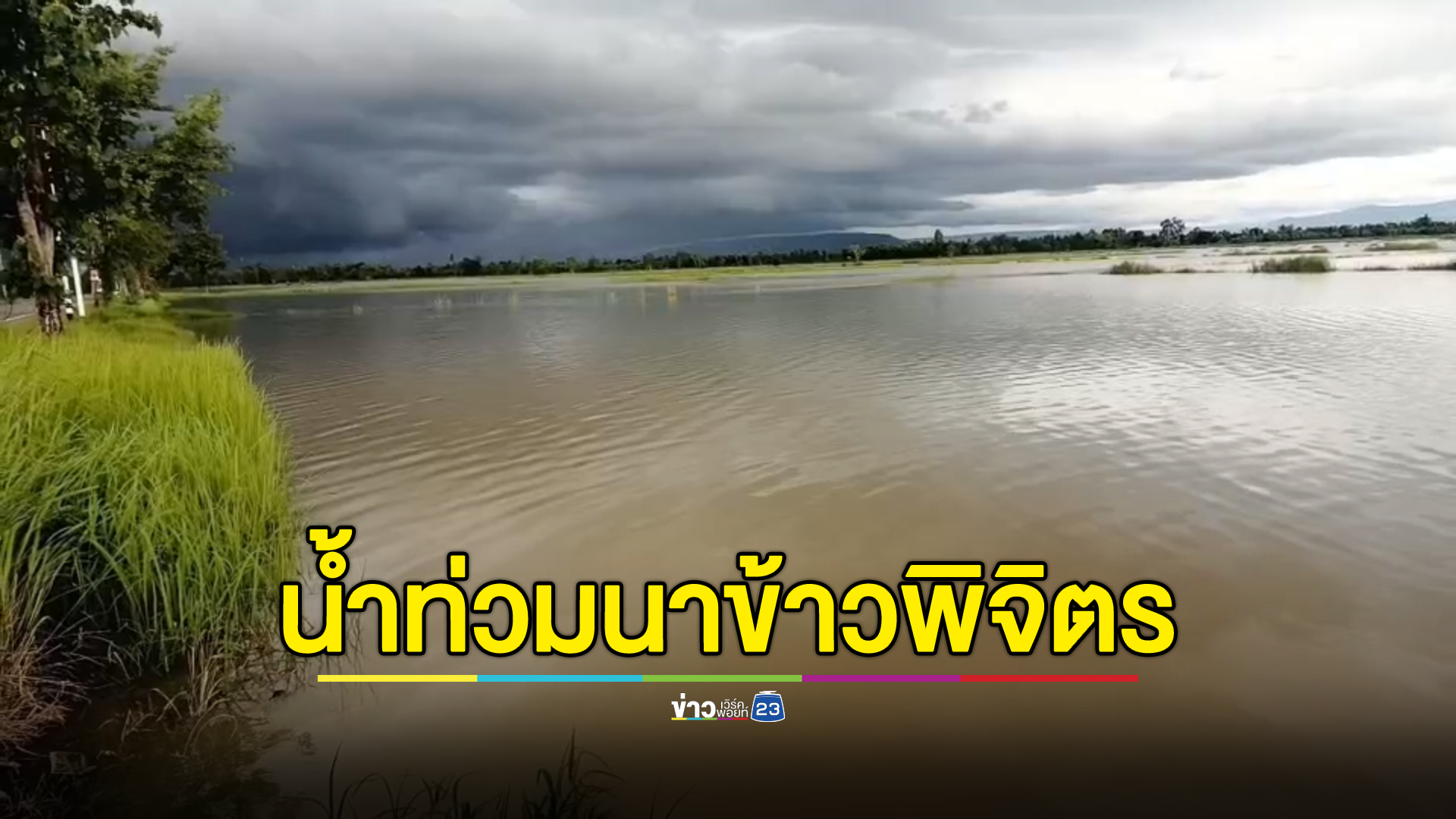 พิจิตร"น้ำท่วม"นาข้าวเพิ่งปลูกเสียหาย ผู้ว่าฯสั่งเฝ้าระวังทุกพื้นที่