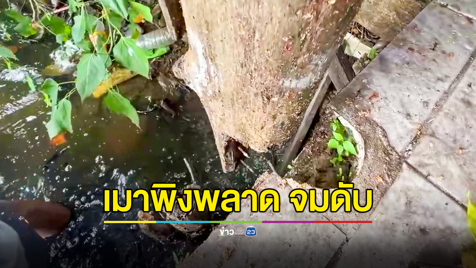 ลุงเมาพิงราวไม้ผุ ลื่นตกคลองน้ำตื้นๆ แต่กลายเป็นศพ
