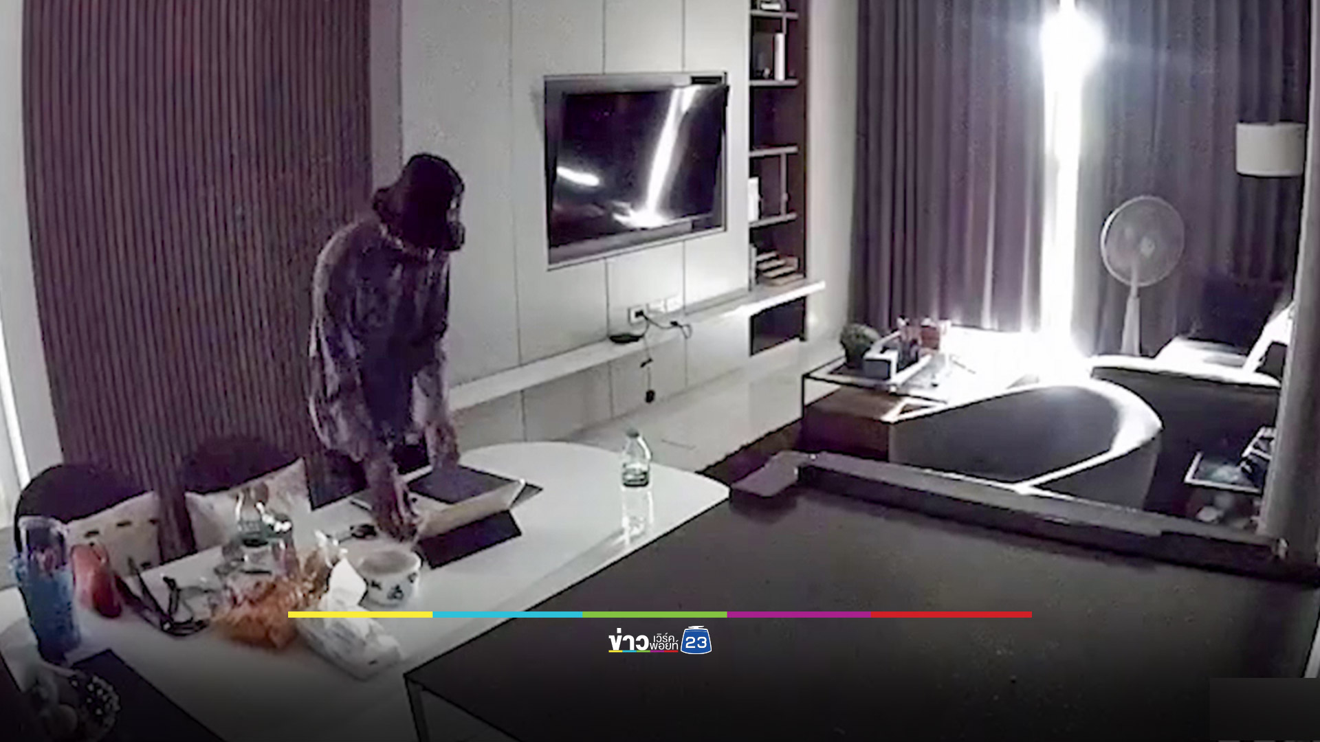 รวบพ่อหม้ายวัย 28 ย่องลักทรัพย์ อ้างหาเงินเลี้ยงลูก