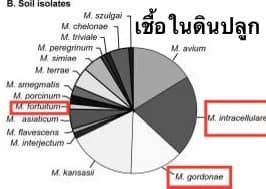 เตือนภัยชาวสวน พบหญิงชราติดวัฒโรคเทียมจากปุ๋ยคอกมูลวัว