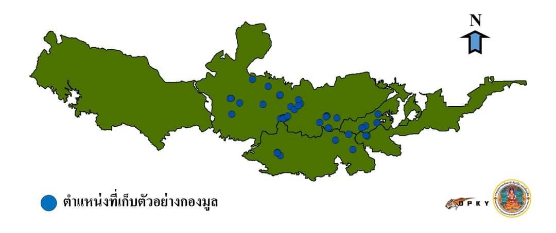เปลี่ยน "ป่าทับลาน" เป็น สปก. นิรโทษกรรมเหมาเข่งนายทุนรุกป่า?