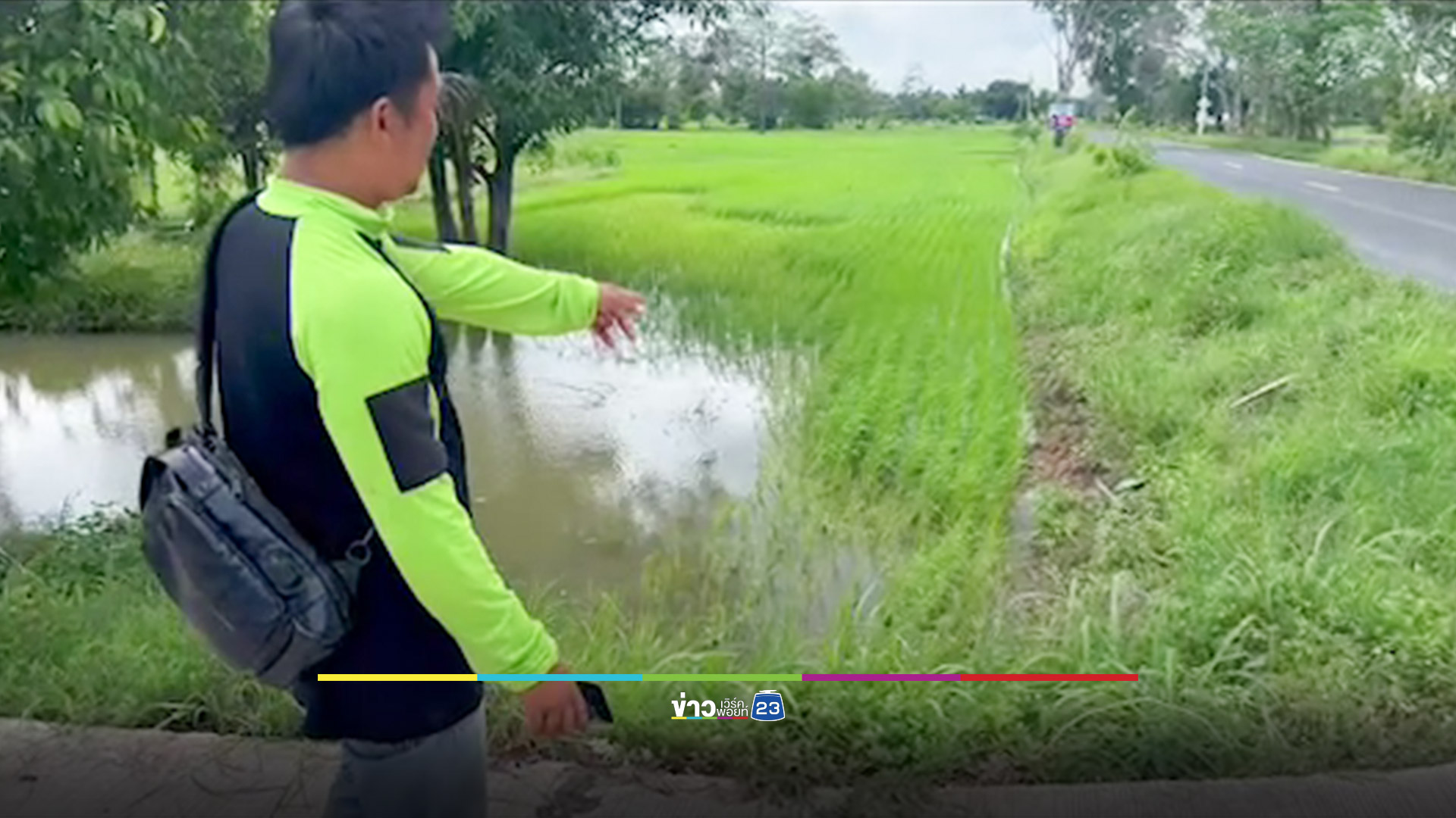 โล้นห่มเหลืองเมาขับรถตกถนน อ้างสุนัขผสมพันธุ์ขวางทาง