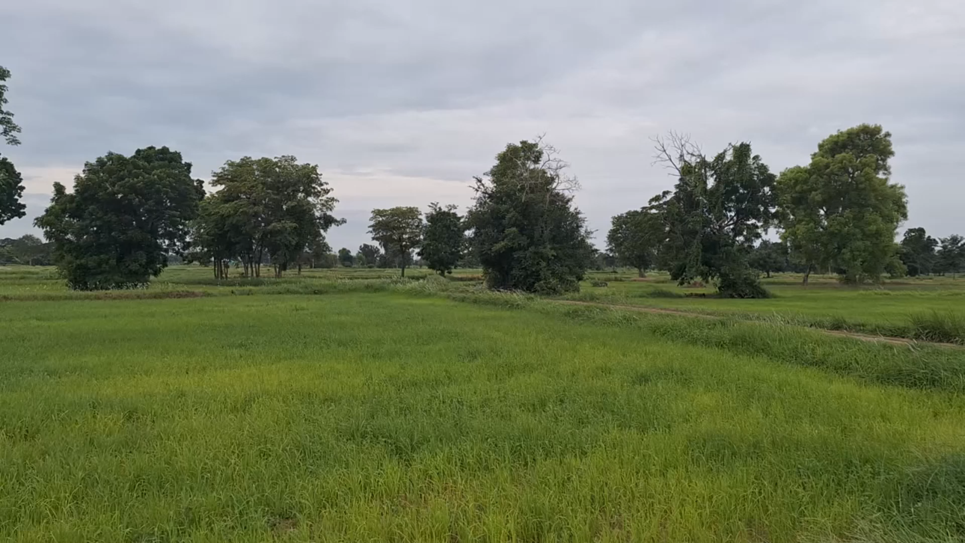ชาวบ้านลำปลายมาศตื่น"แผ่นดินไหว" แม้ไร้รู้สึกแรงสั่นสะเทือน