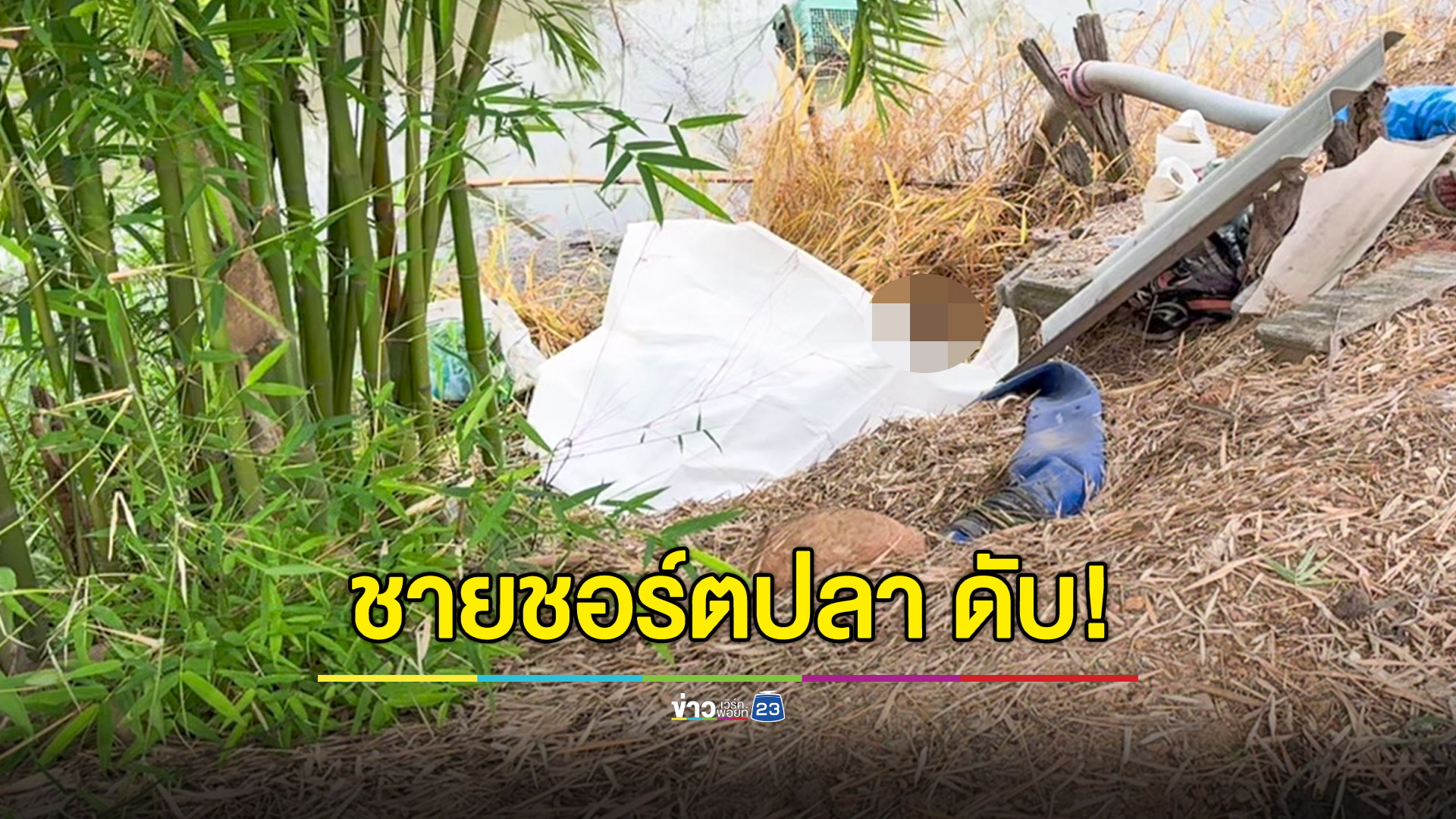 ไปชอร์ตปลา พลาดล้มทับไม้ชอร์ตดับ