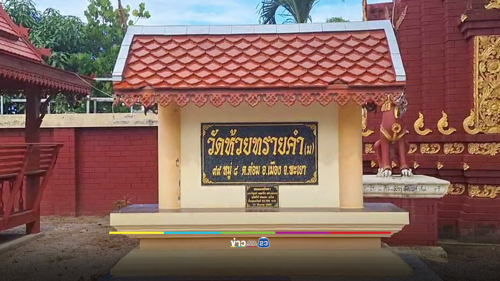 ฮือฮา! พบตะพาบสีทองว่ายน้ำมาหา เชื่อให้โชค