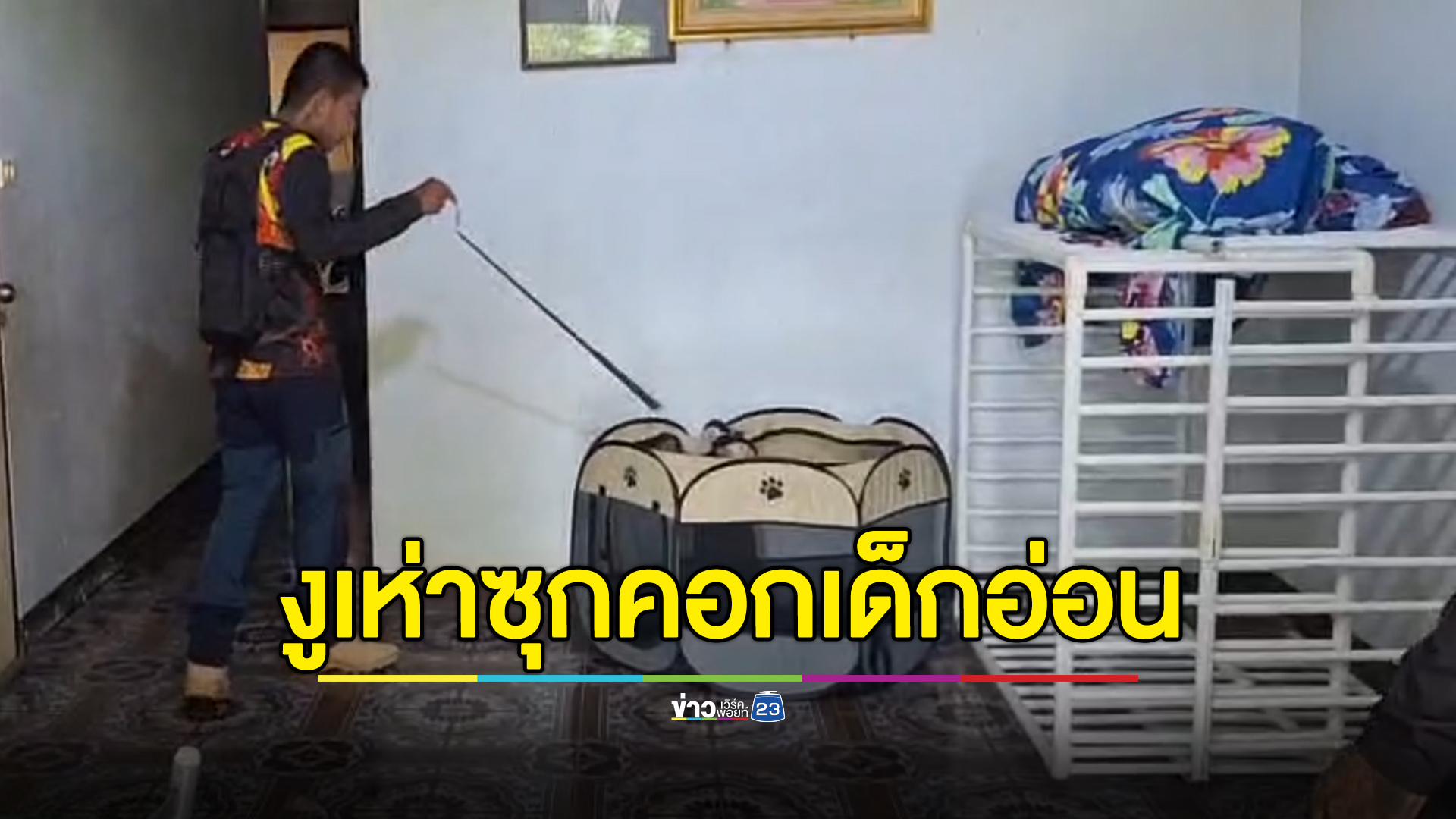 ผงะ งูเห่าซุกคอกเด็กอ่อน เจ้าของบ้านรีบแจ้ง จนท.มาจับ