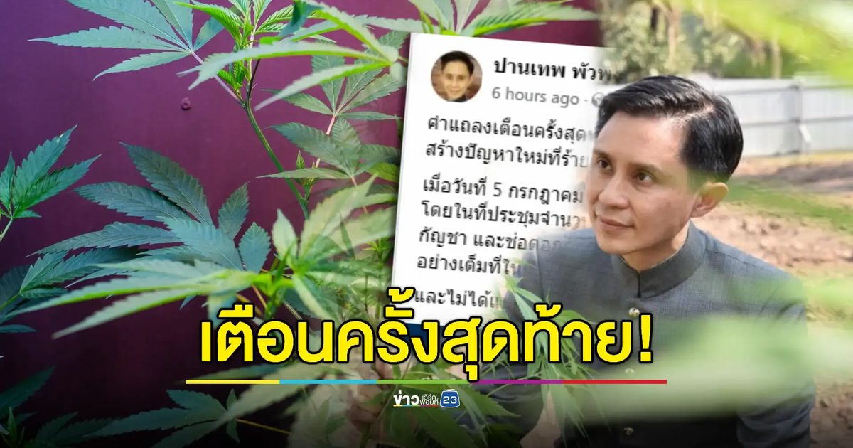 "ปานเทพ" ยกผลกระทบหาก "กัญชา-กัญชง" กลับเป็นยาเสพติด