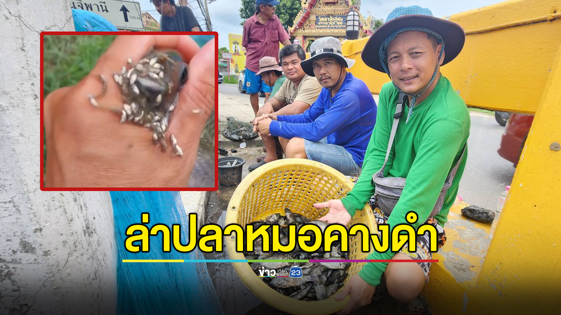 ชาวประมงเขาตะเกียบช่วยล่า"ปลาหมอคางดำ"หวังลดปริมาณ
