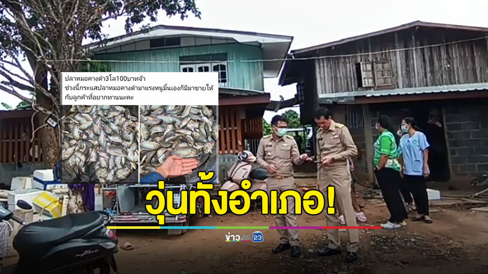 วุ่นทั้งอำเภอ! สาวโพสต์ขายปลาหมอคางดำ เจ้าหน้าที่เร่งตรวจสอบ