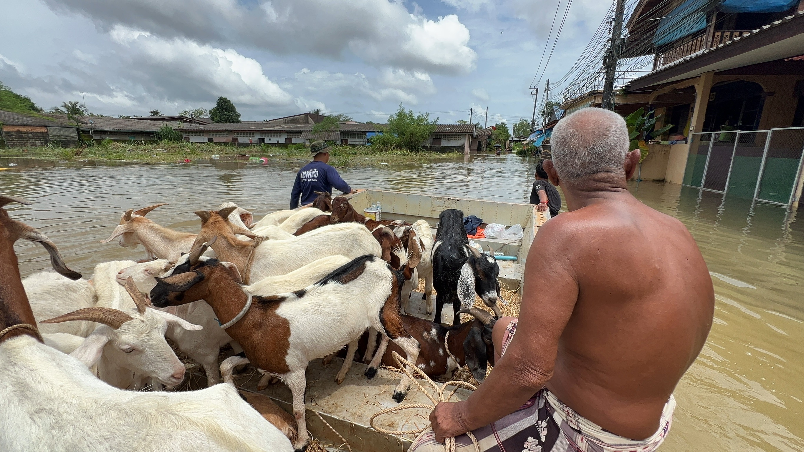 อัปเดต"น้ำท่วมตราด"ทหารช่วยขนแพะหนีตาย